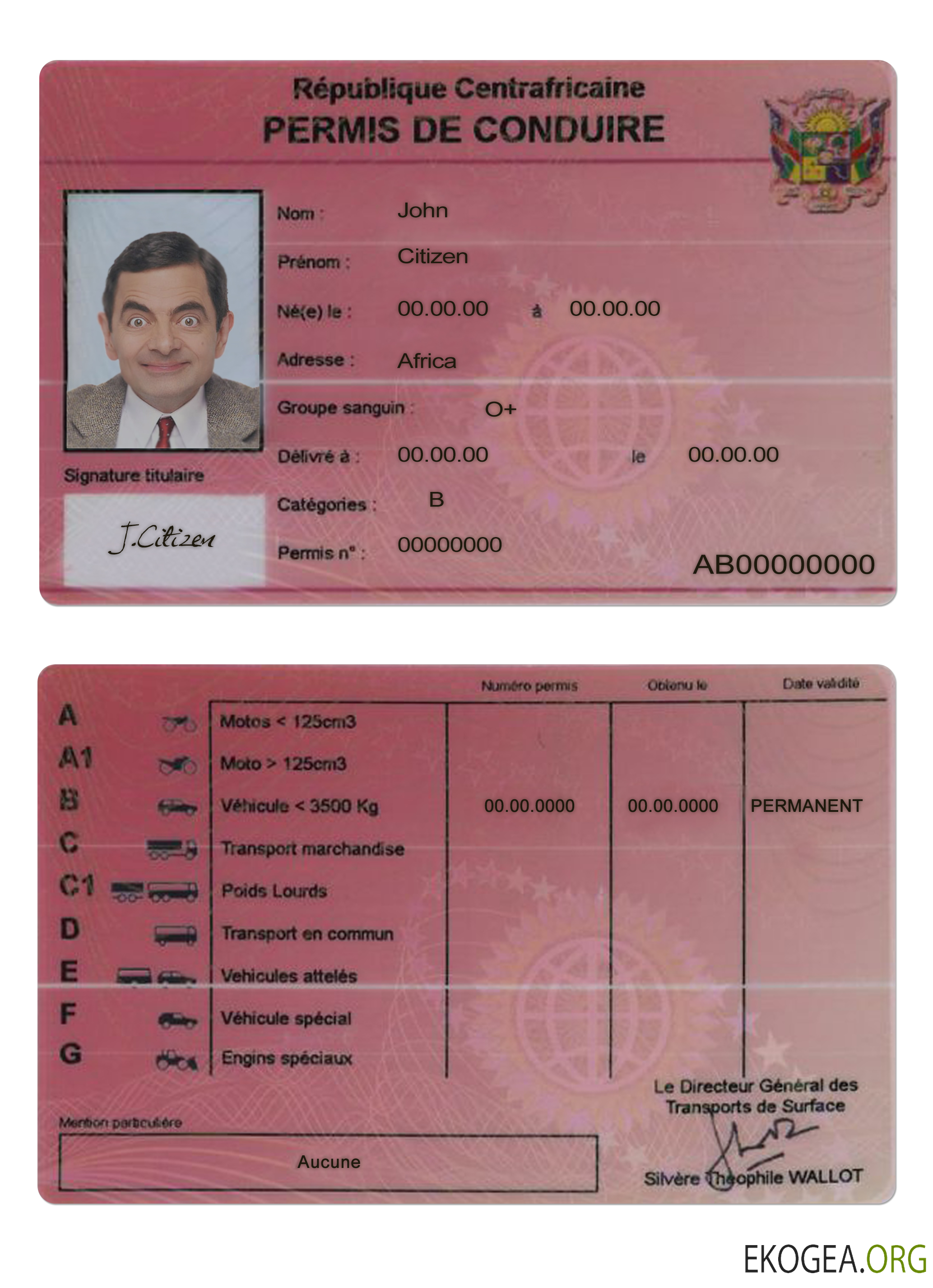 Central African driving license